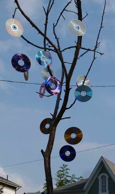 disk-tree