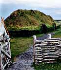 Norse
                    Encampment